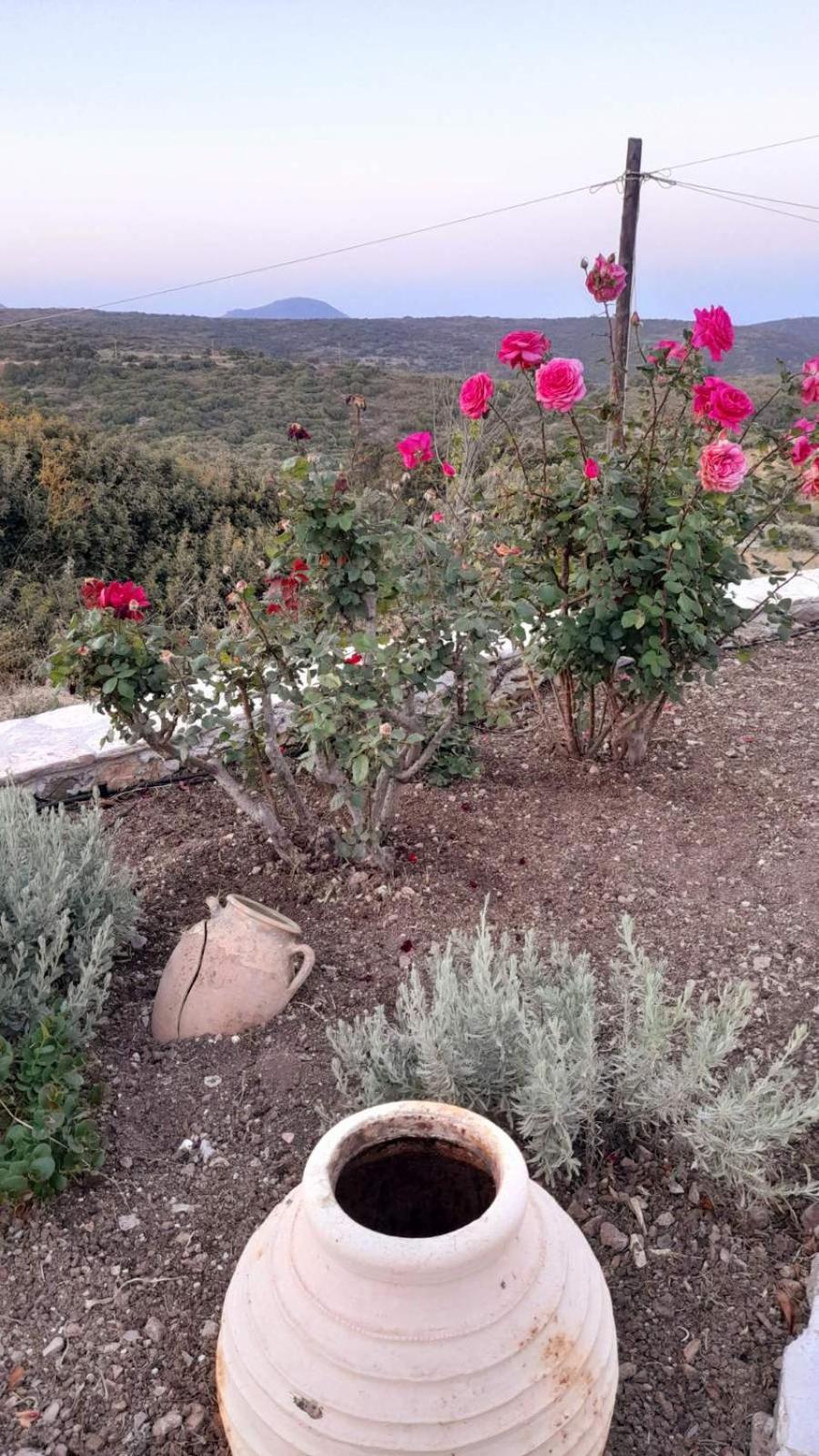 Вілла Tsipouras House Kythira Town Екстер'єр фото